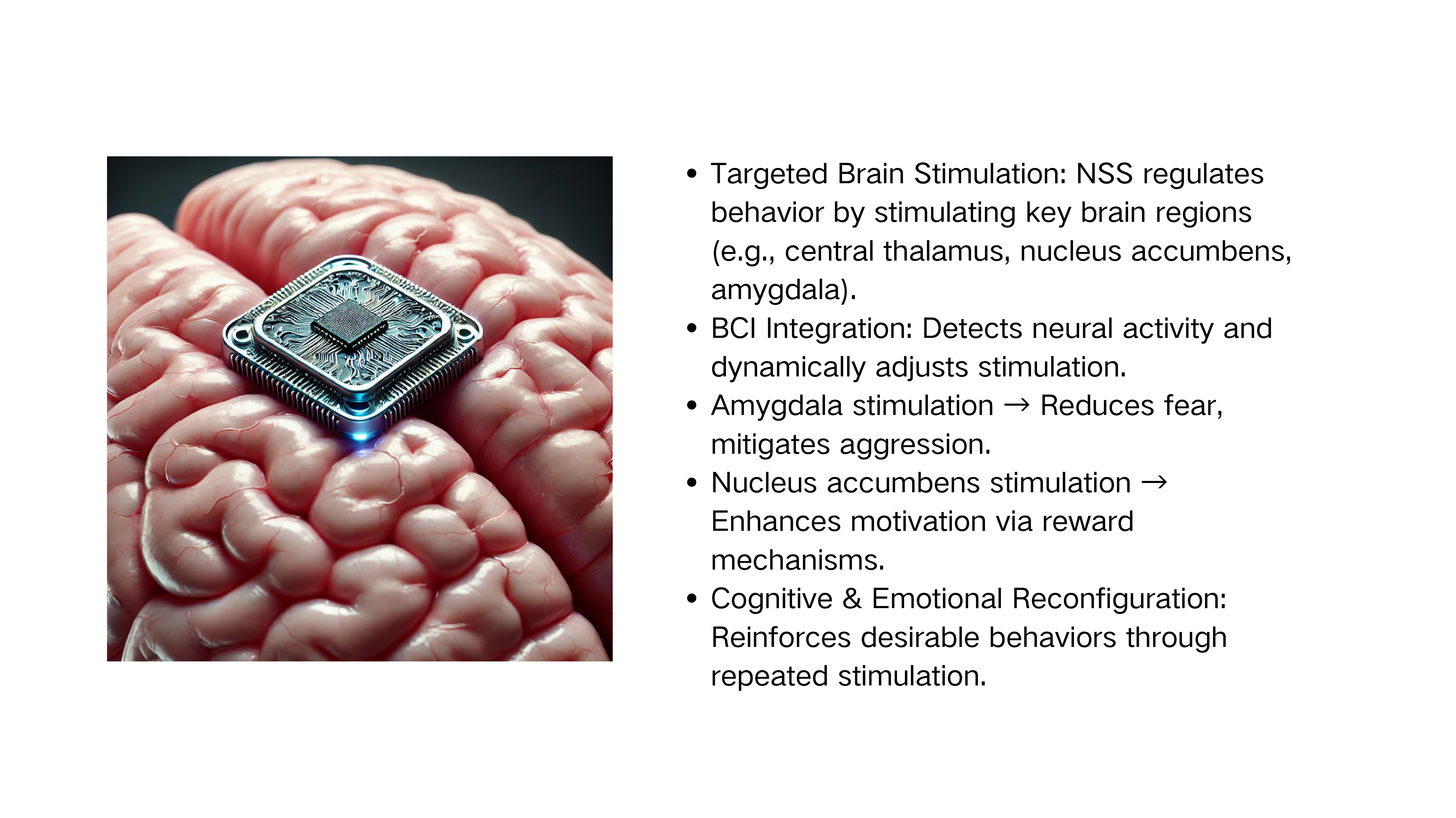 NeuroShaper Technology Overview
